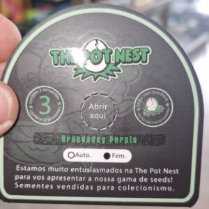 The Pot Nest Seeds Fem (3un)